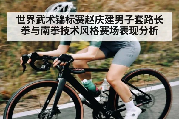 世界武术锦标赛赵庆建男子套路长拳与南拳技术风格赛场表现分析