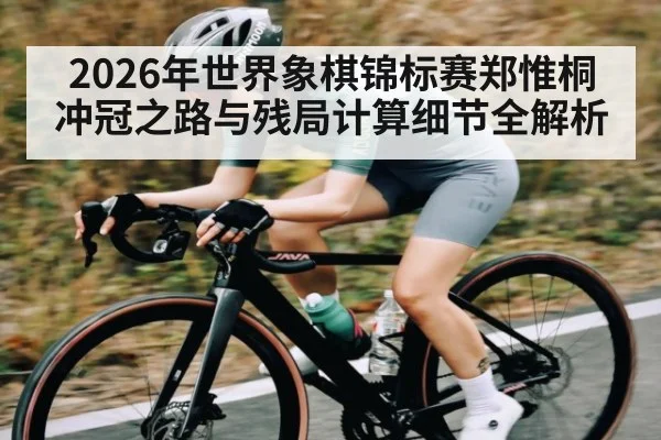 2026年世界象棋锦标赛郑惟桐冲冠之路与残局计算细节全解析 - hth